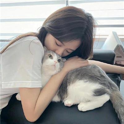 穿长筒靴的猫