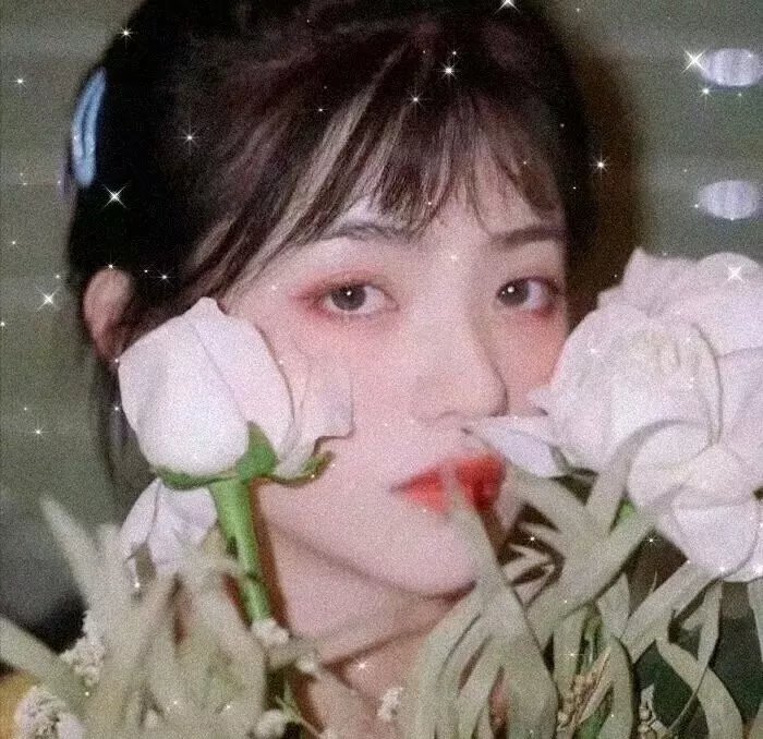 爱与真实